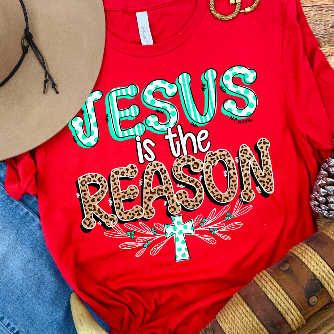 Jesus is the Reason