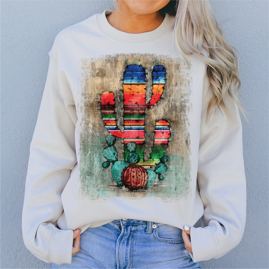 Serape sky sweatshirt